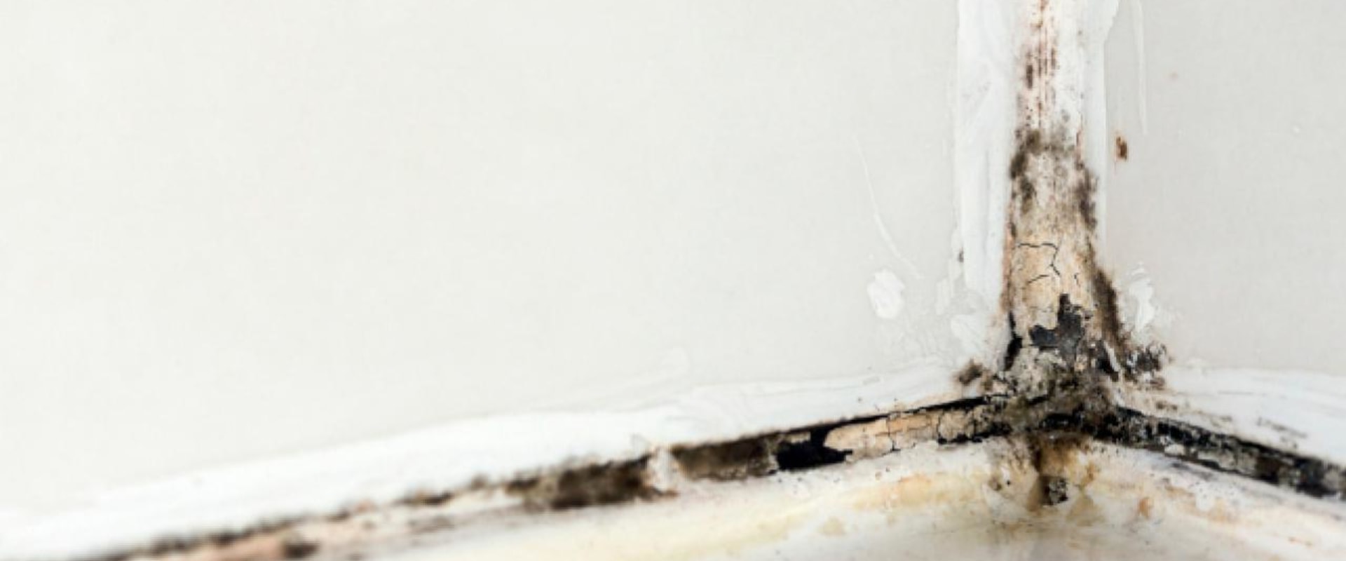 Can black mold be completely removed?