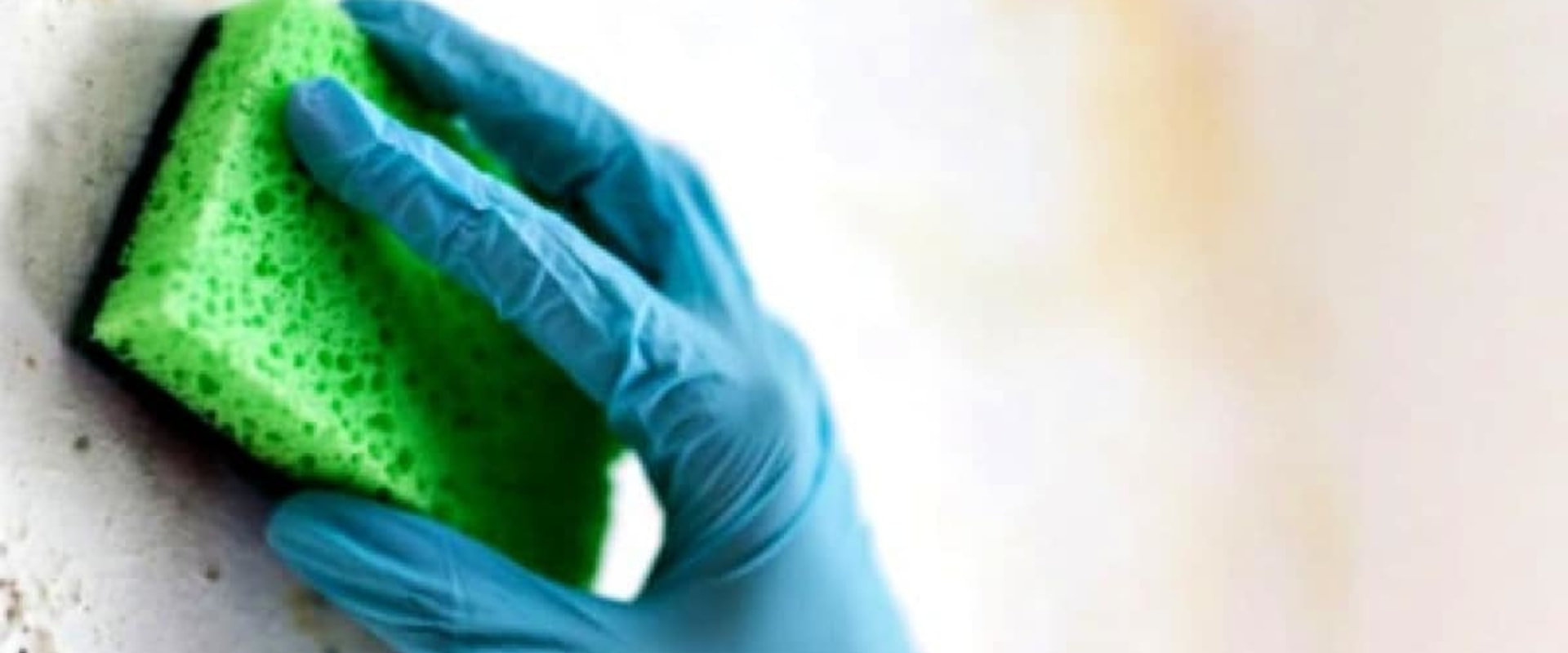 Can mold be removed permanently?