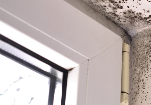 Does mold remediation remove all mold?