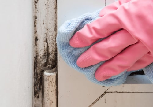 Can mold be permanently removed?
