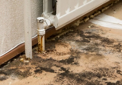 Is mold remediation really necessary?