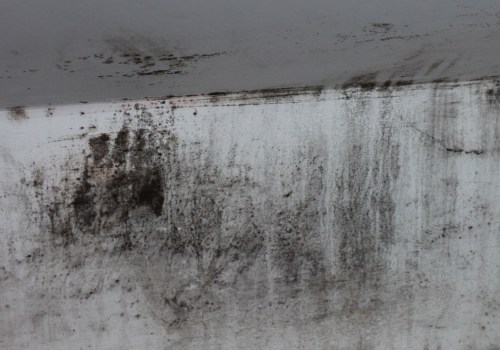 Does mold need to be removed professionally?
