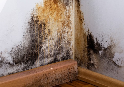 Will mold come back after remediation?