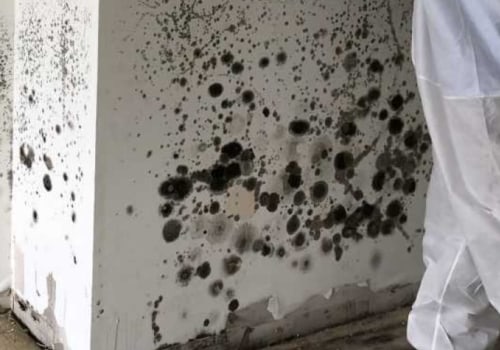 What is proper mold remediation?
