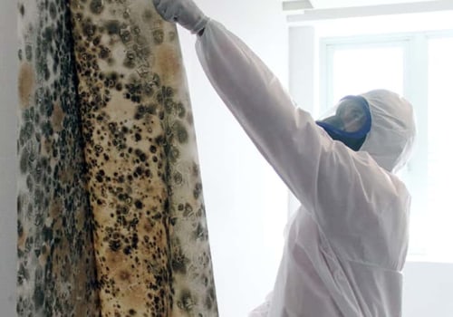 What is the best way to remediate mold?