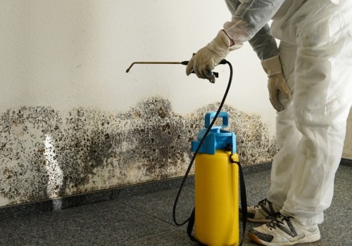 How long does it take for mold remediation?