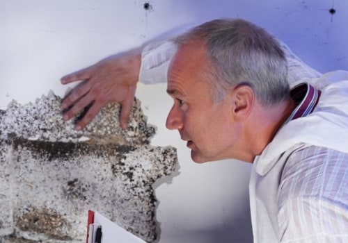 What do you throw away after mold remediation?