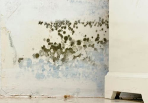 Can you live in a house while black mold is being removed?