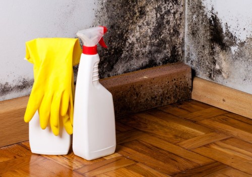 What steps are involved in mold remediation?