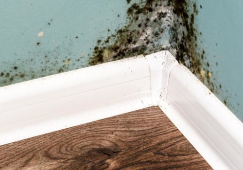 How long can you live in a house with mold?