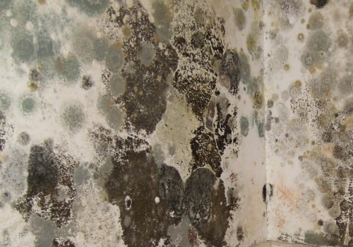 What removes mold permanently?