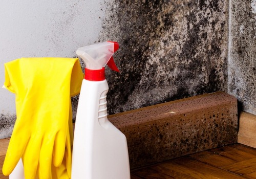 Can a homeowner remove mold themselves?